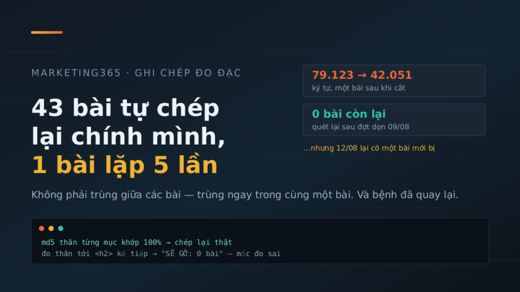 Ảnh bìa: 43 bài lặp nguyên khối, một bài lặp 5 lần